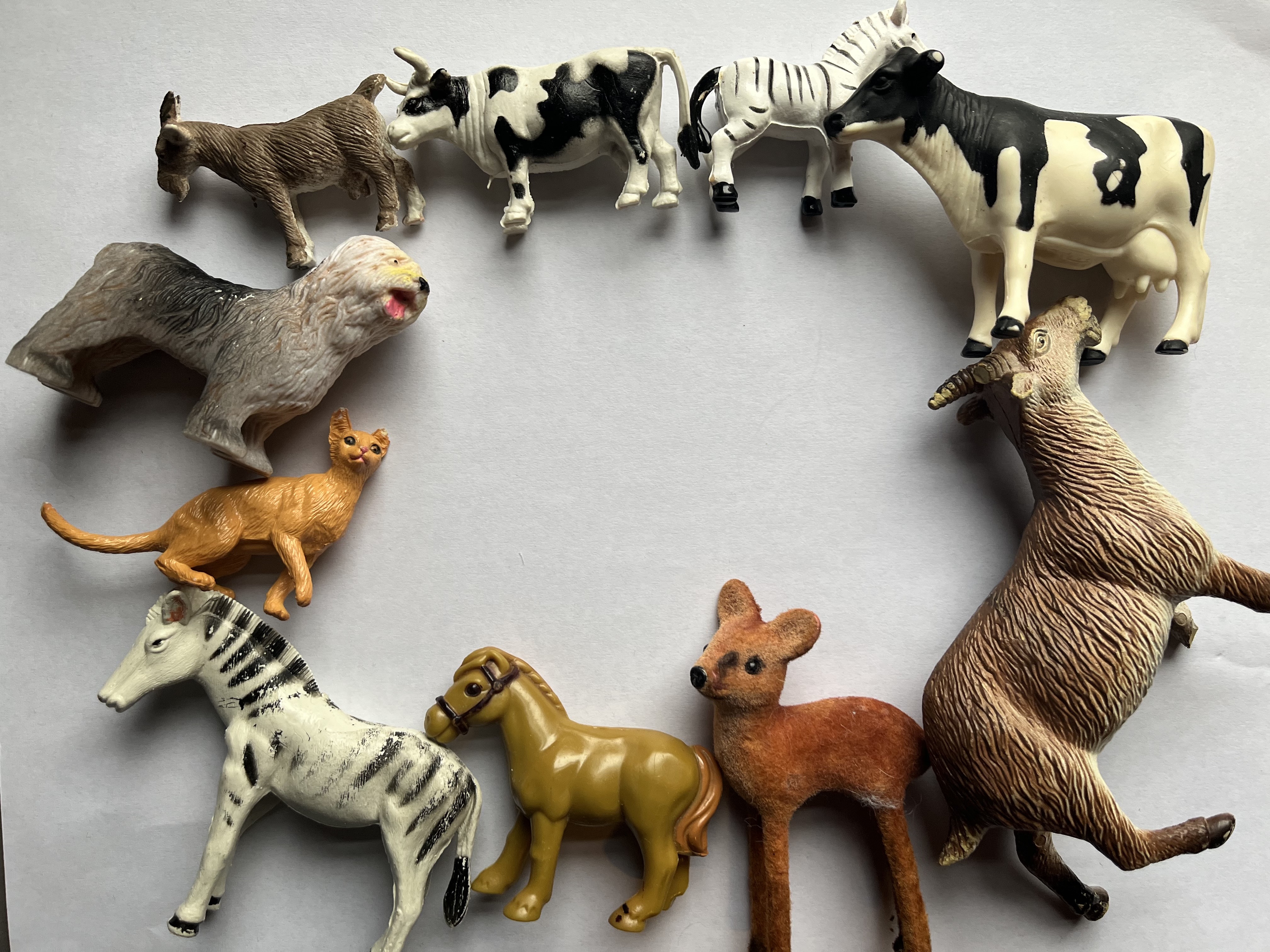 Mammals Data Set Exploration